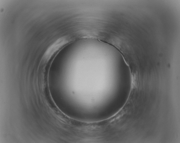 X0000063530291200601271908