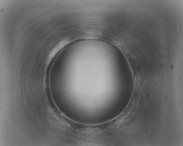 X0000063530292200601271908