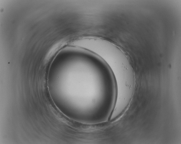 X0000063530293200601271908