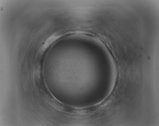 X0000063530295200601271908