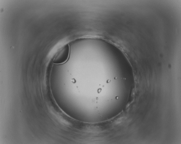 X0000063530296200601271908