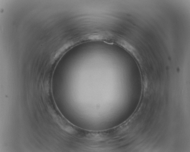 X0000063530297200601271908