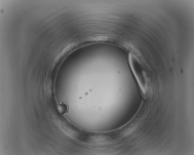 X0000063530300200601271908