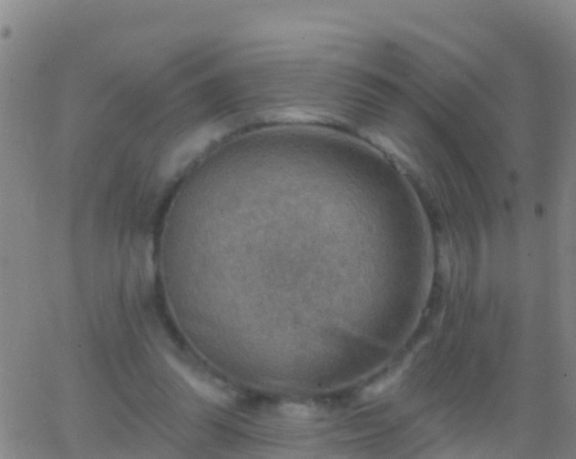 X0000063530302200601271908