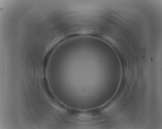 X0000063530303200601271908