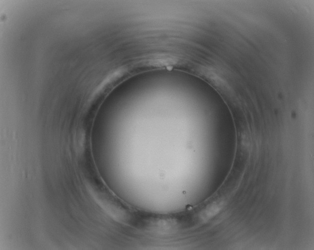 X0000063530304200601271908