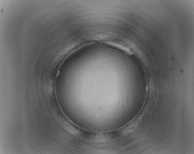 X0000063530305200601271908