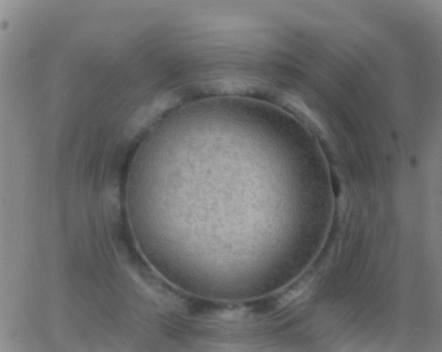 X0000063530306200601271908