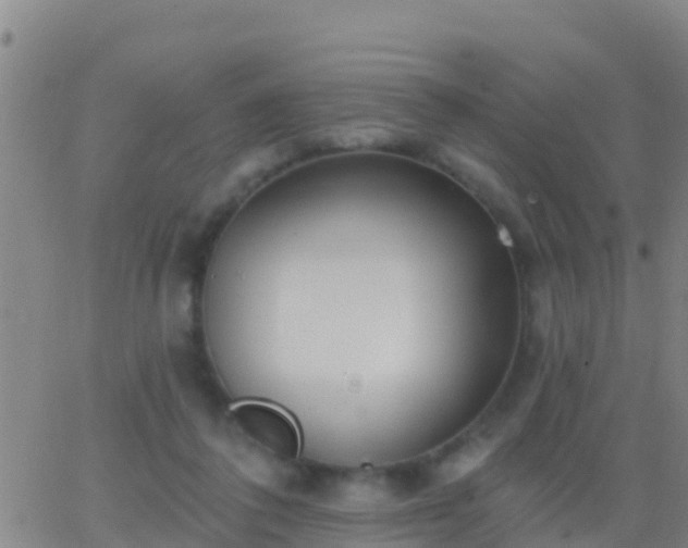 X0000063530308200601271908