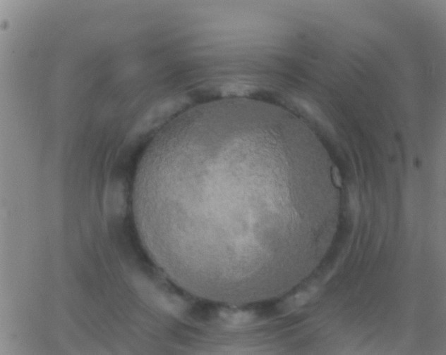 X0000063530311200601271908