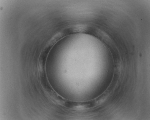 X0000063530312200601271907