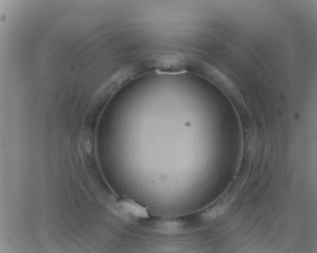 X0000063530313200601271907