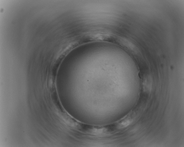 X0000063530314200601271907