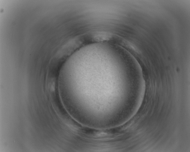 X0000063530315200601271907