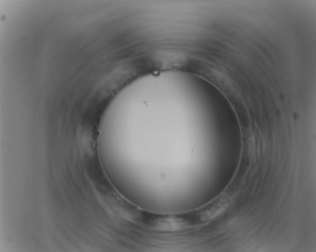 X0000063530316200601271907