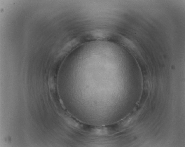 X0000063530317200601271907