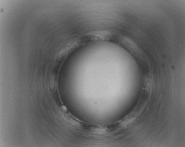 X0000063530318200601271907