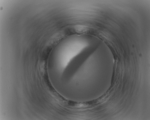 X0000063530319200601271907