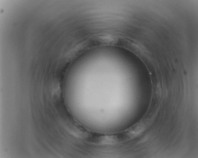 X0000063530320200601271907