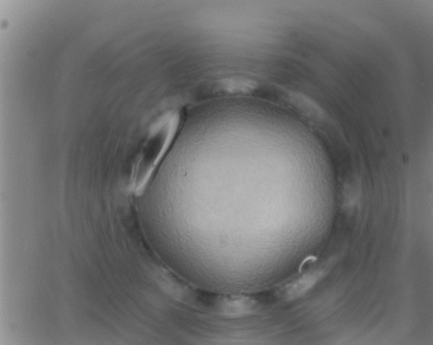 X0000063530321200601271907