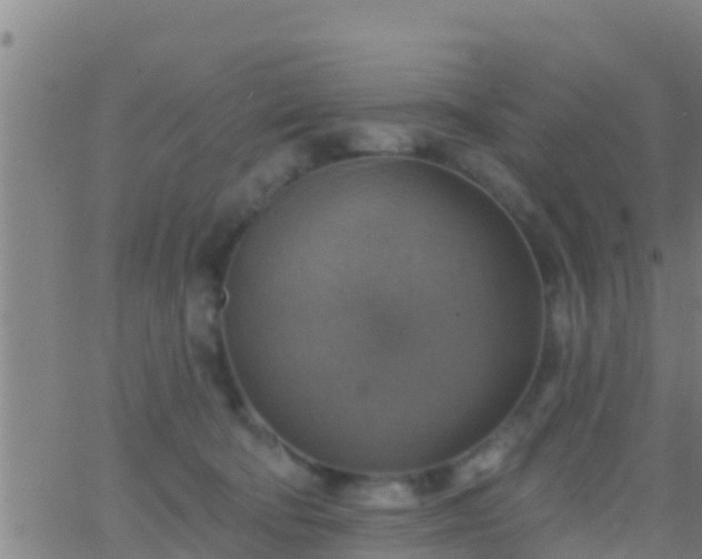 X0000063530322200601271907