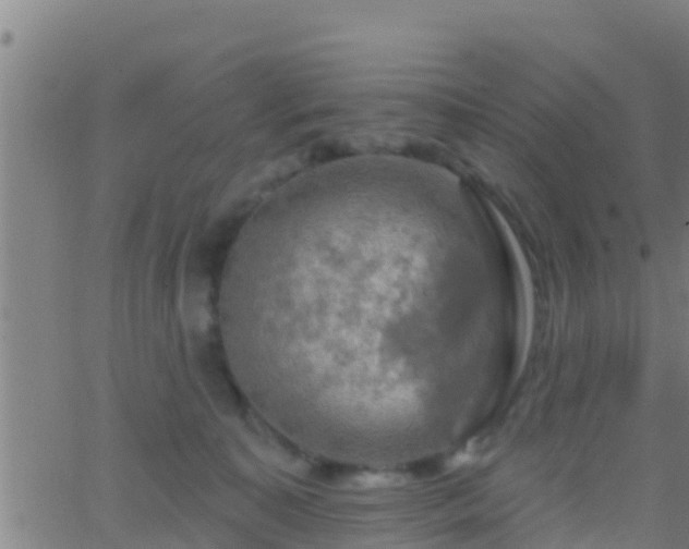 X0000063530323200601271907