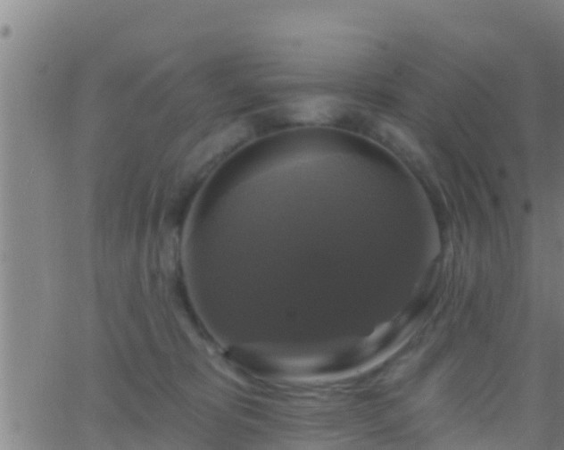 X0000063530325200601271907