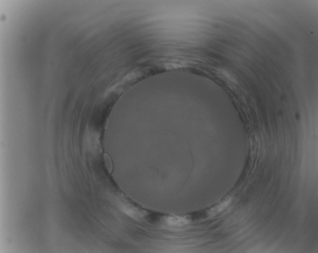 X0000063530327200601271907