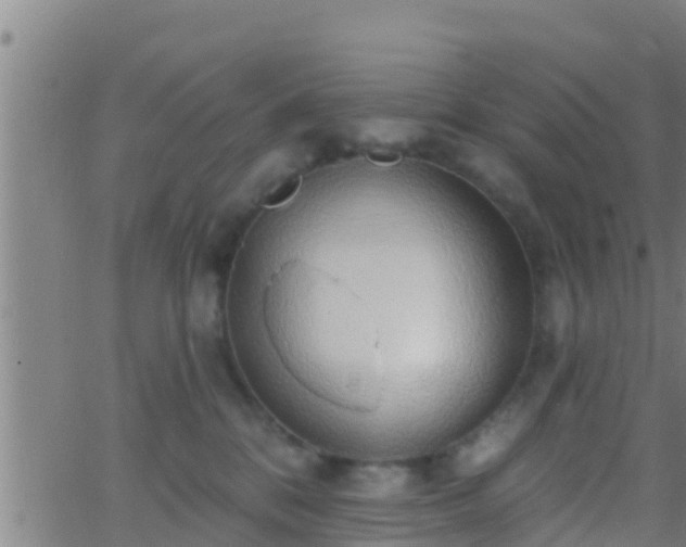 X0000063530328200601271907