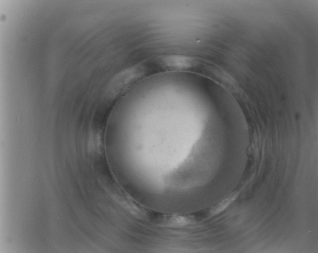 X0000063530330200601271907