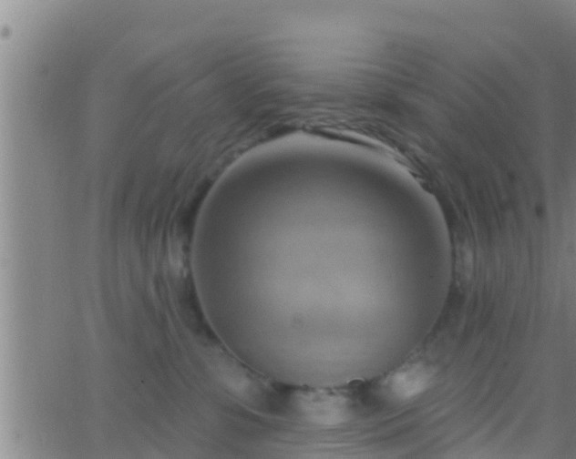 X0000063530331200601271907