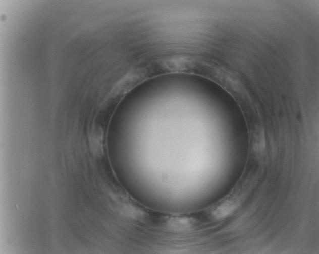 X0000063530332200601271907