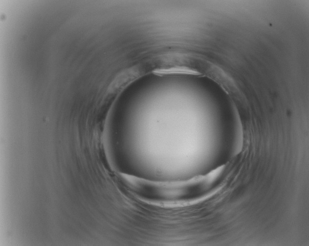 X0000063530333200601271907