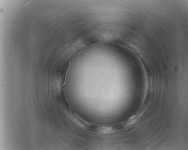 X0000063530334200601271907