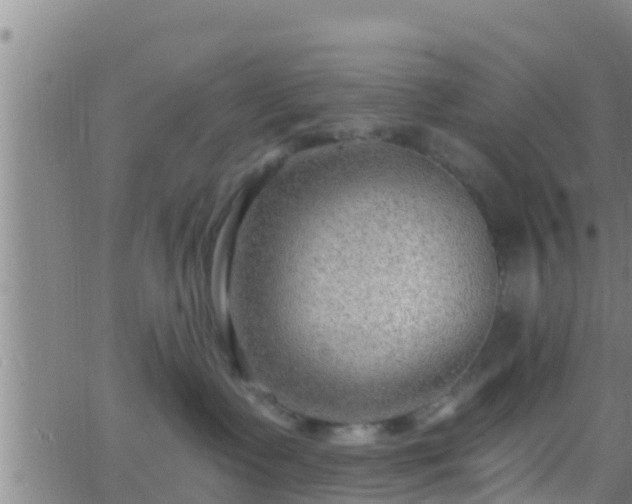 X0000063530335200601271907