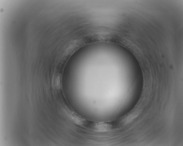 X0000063530336200601271907