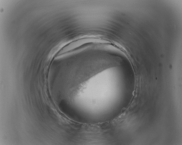 X0000063530337200601271906