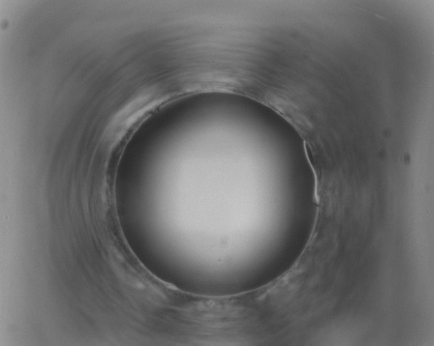 X0000063530338200601271906