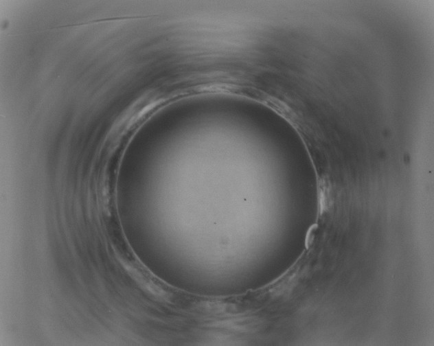 X0000063530339200601271906