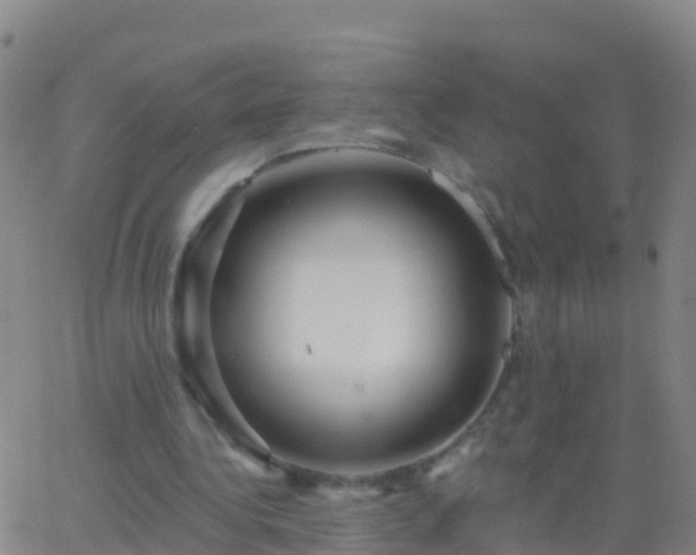 X0000063530340200601271906