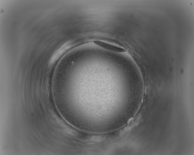 X0000063530341200601271906