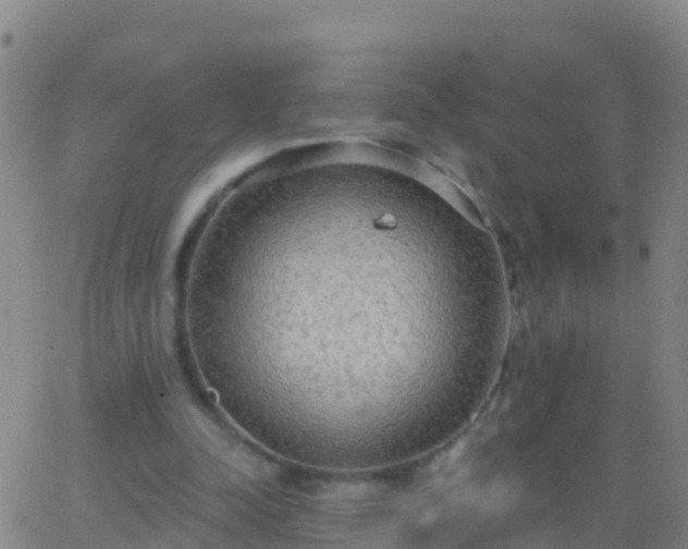 X0000063530342200601271906