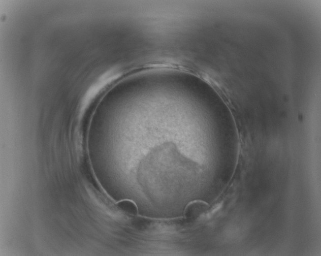 X0000063530343200601271906