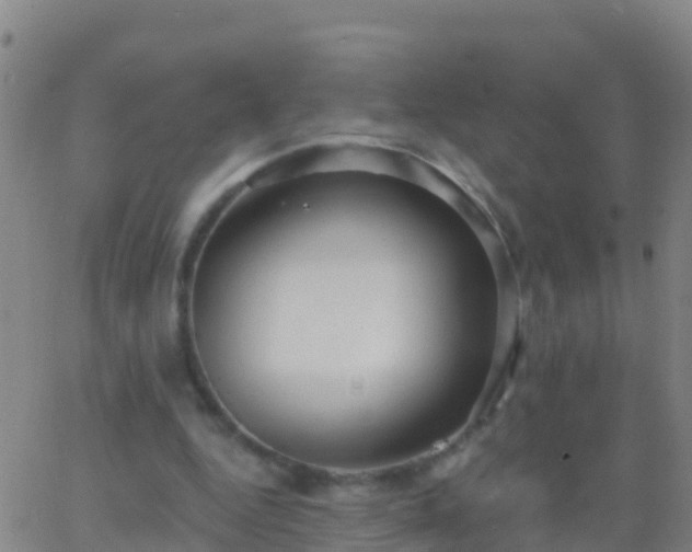 X0000063530344200601271906