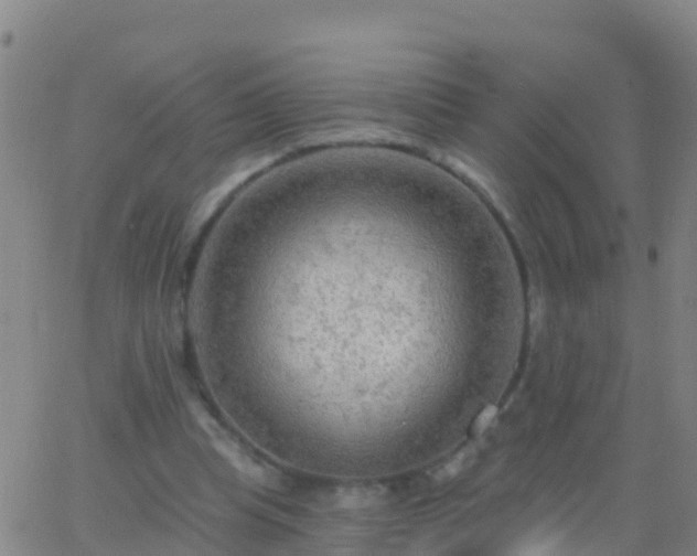 X0000063530345200601271906