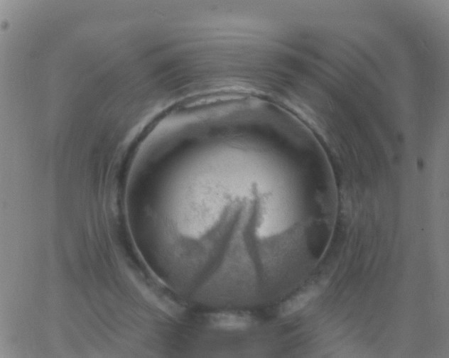 X0000063530347200601271906