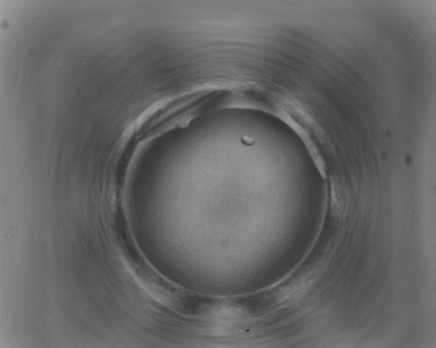 X0000063530348200601271907