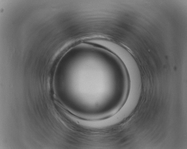 X0000063530350200601271907