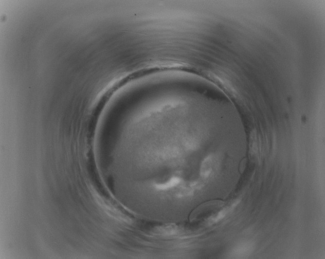 X0000063530351200601271907