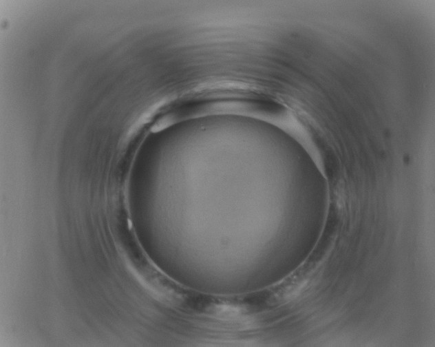 X0000063530352200601271907